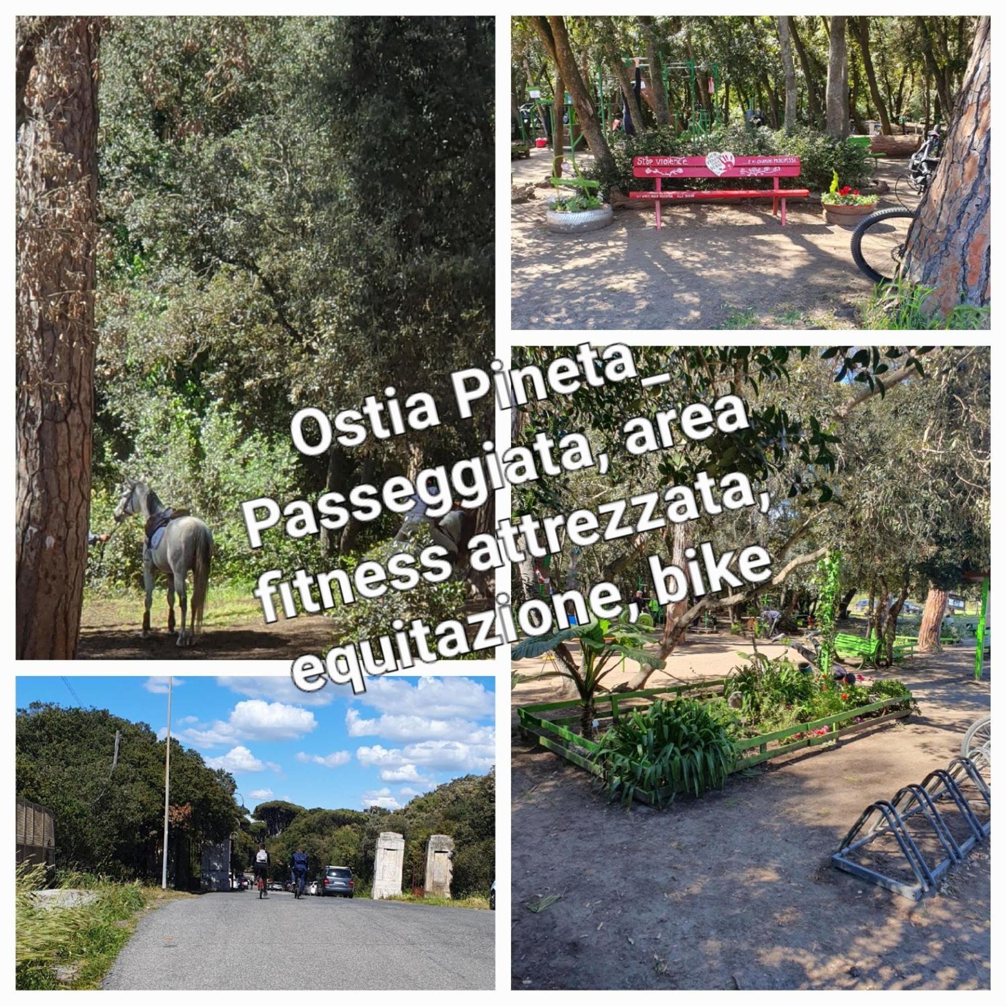 Casa Diana Ostia Apartment ภายนอก รูปภาพ